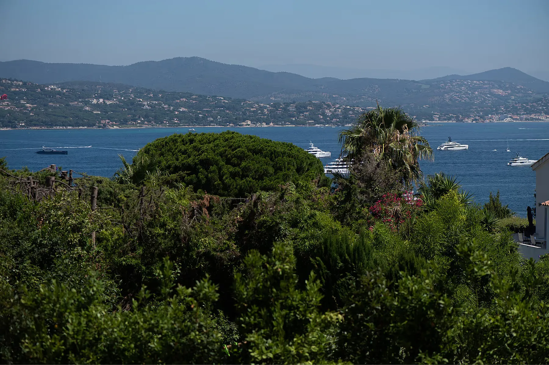 Althoff Villa Belrose overview 6
