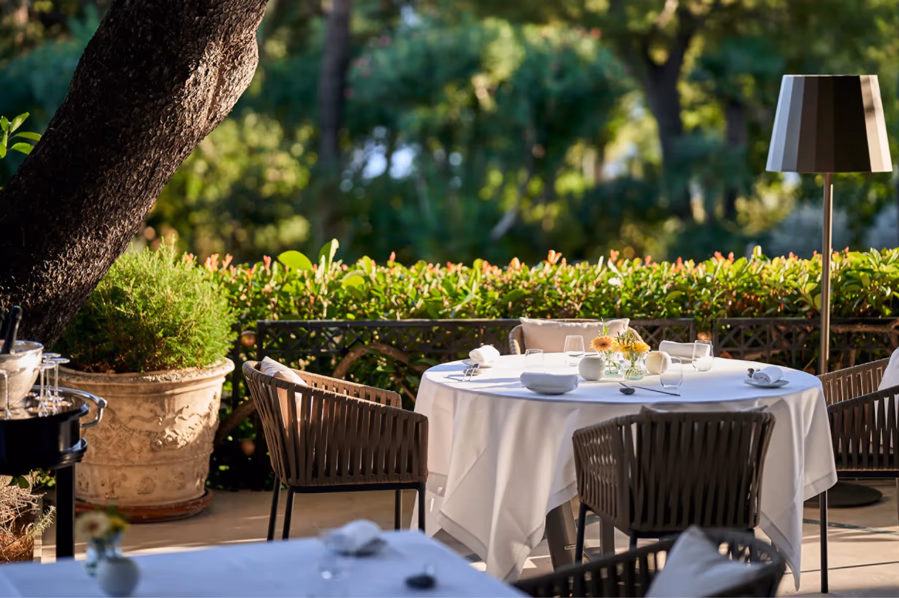 Grand-Hôtel du Cap-Ferrat dining 7