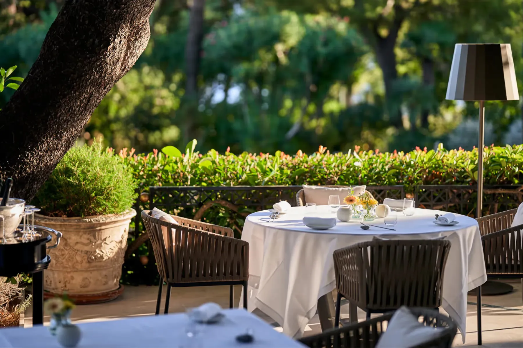 Grand-Hôtel du Cap-Ferrat dining 7