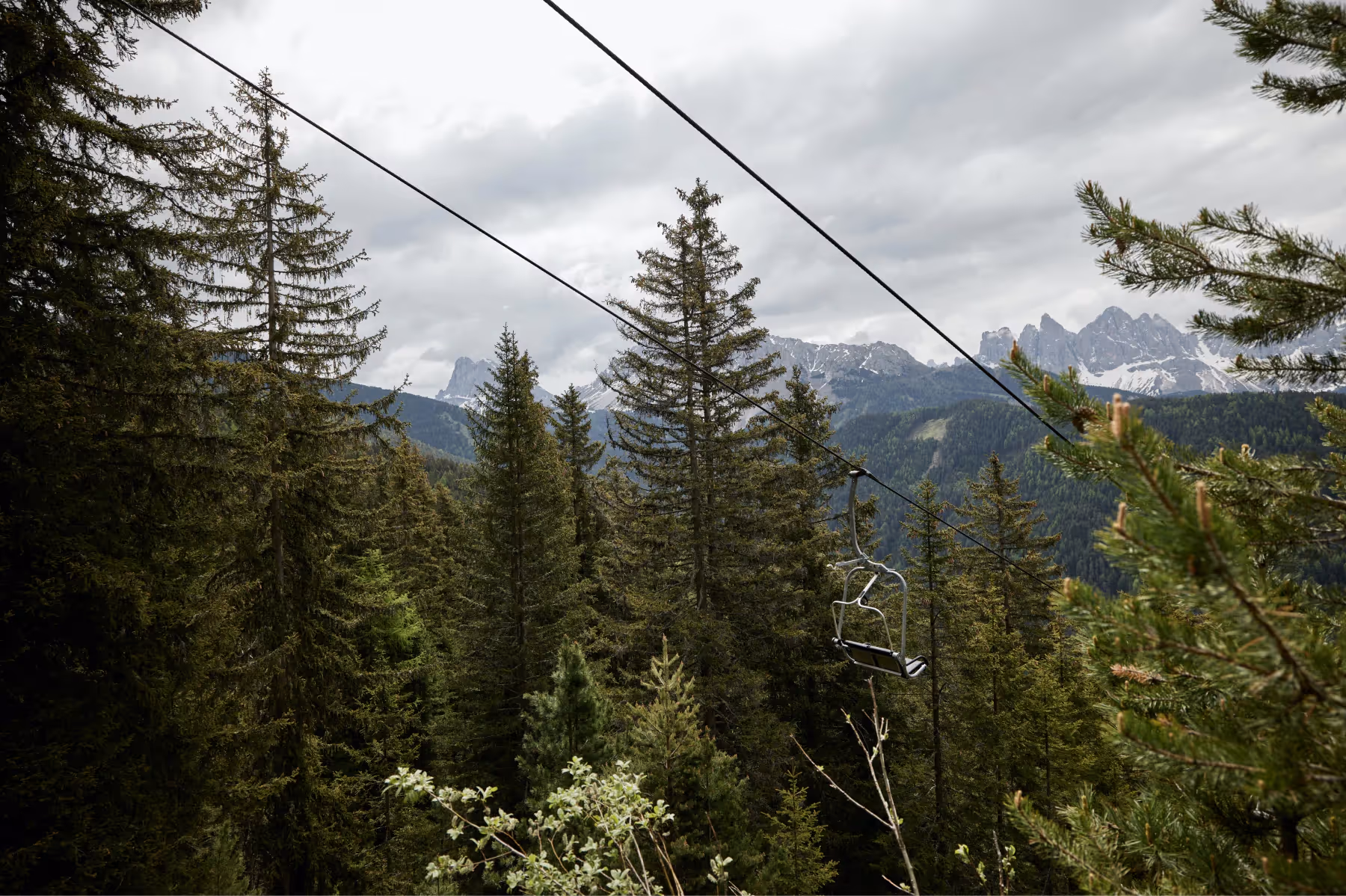 Forestis activities 15