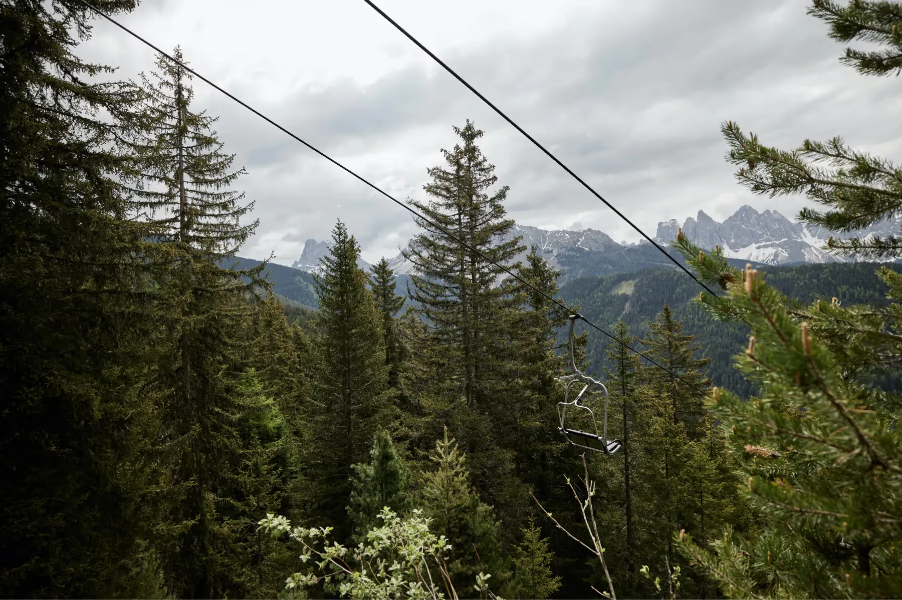 Forestis activities 15