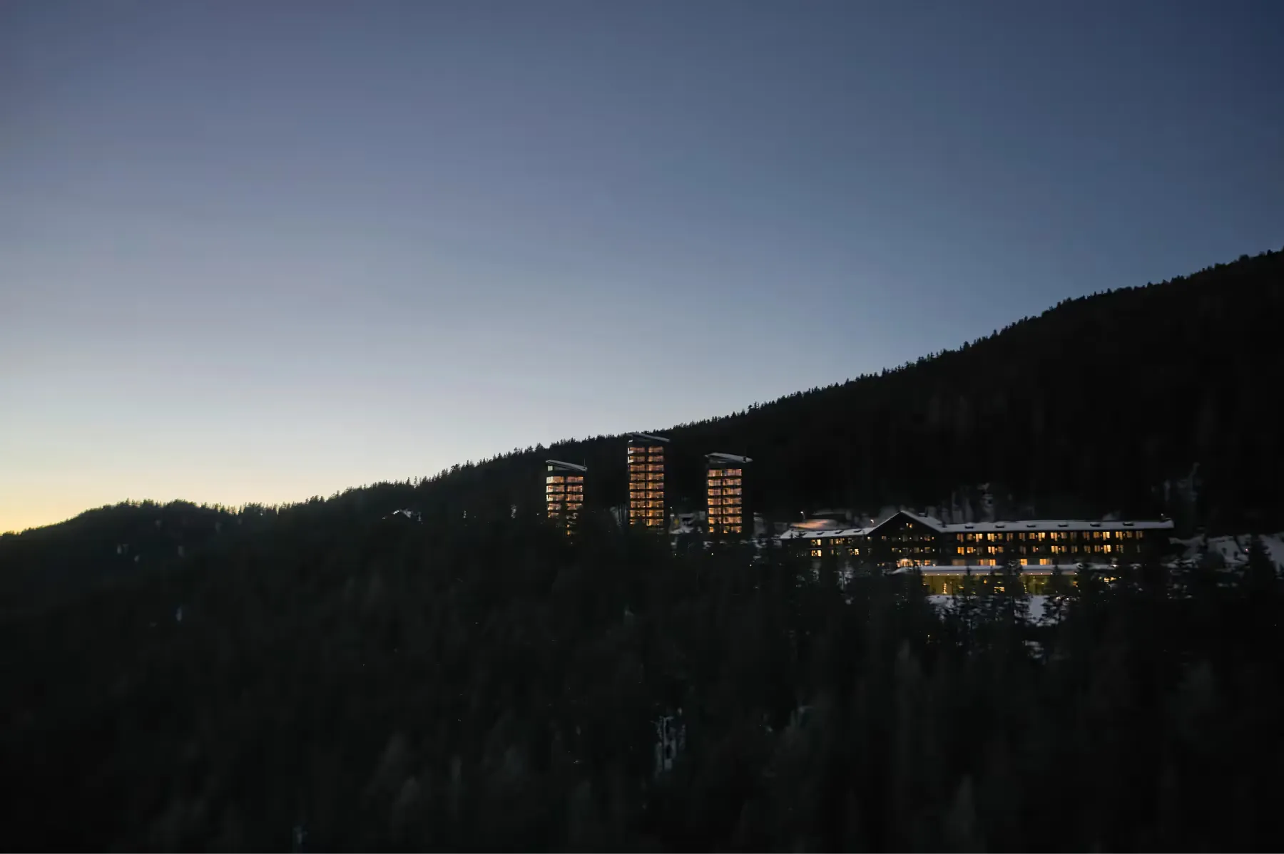 Forestis overview 1