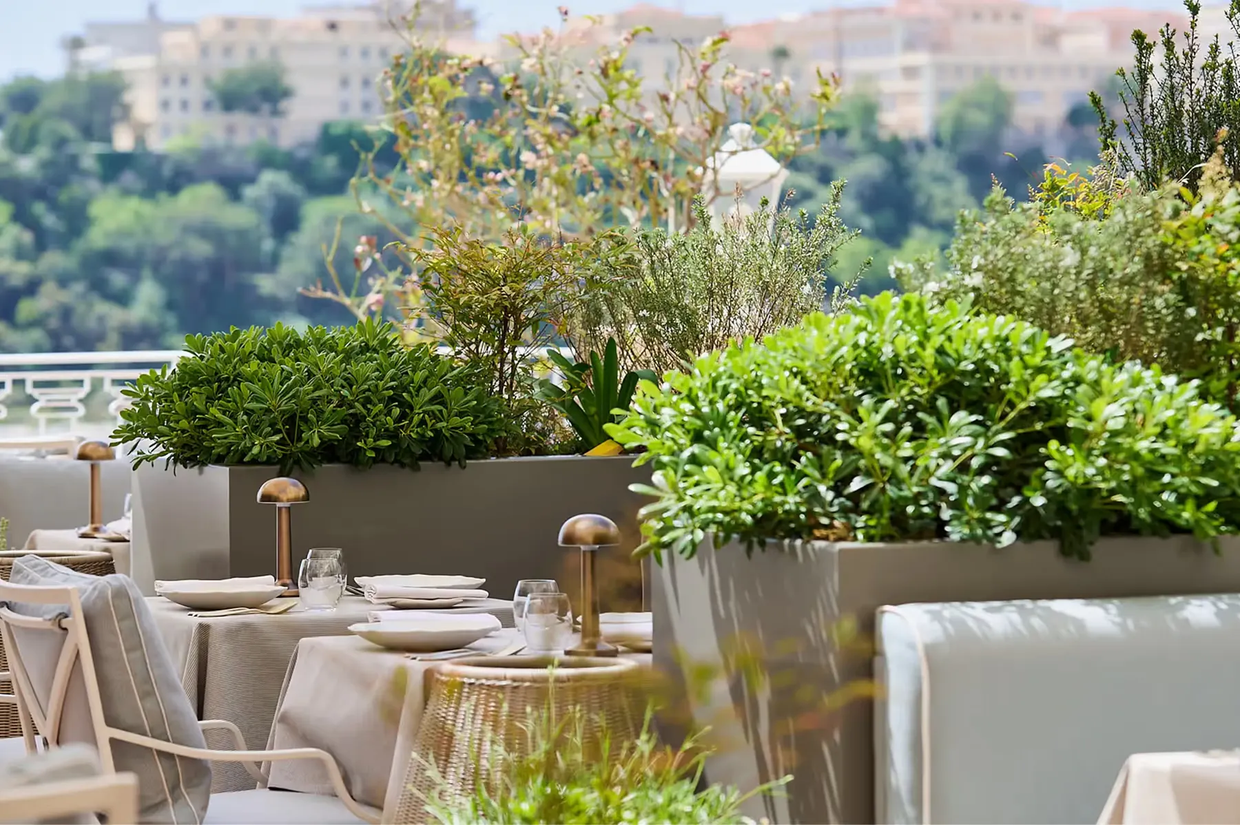 Hôtel Hermitage Monte-Carlo dining 1
