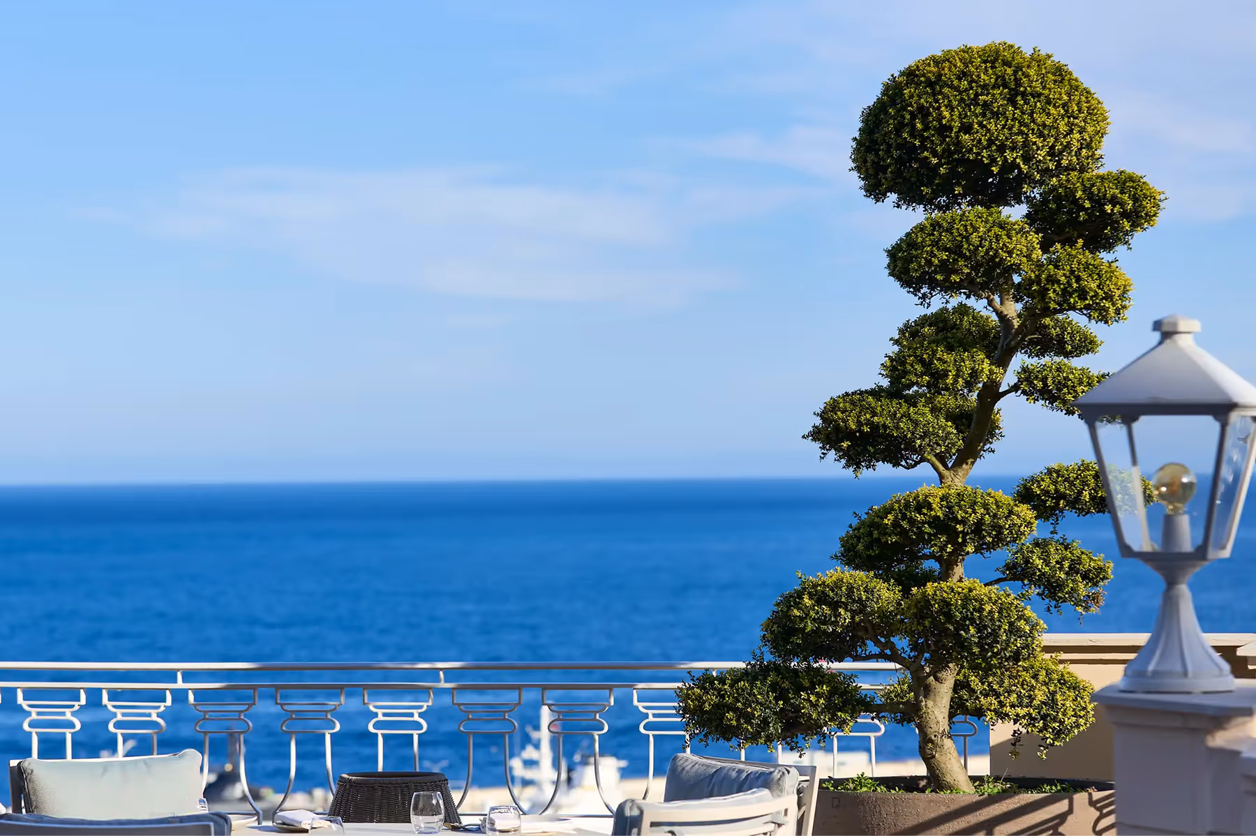 Hôtel Hermitage Monte-Carlo dining 2