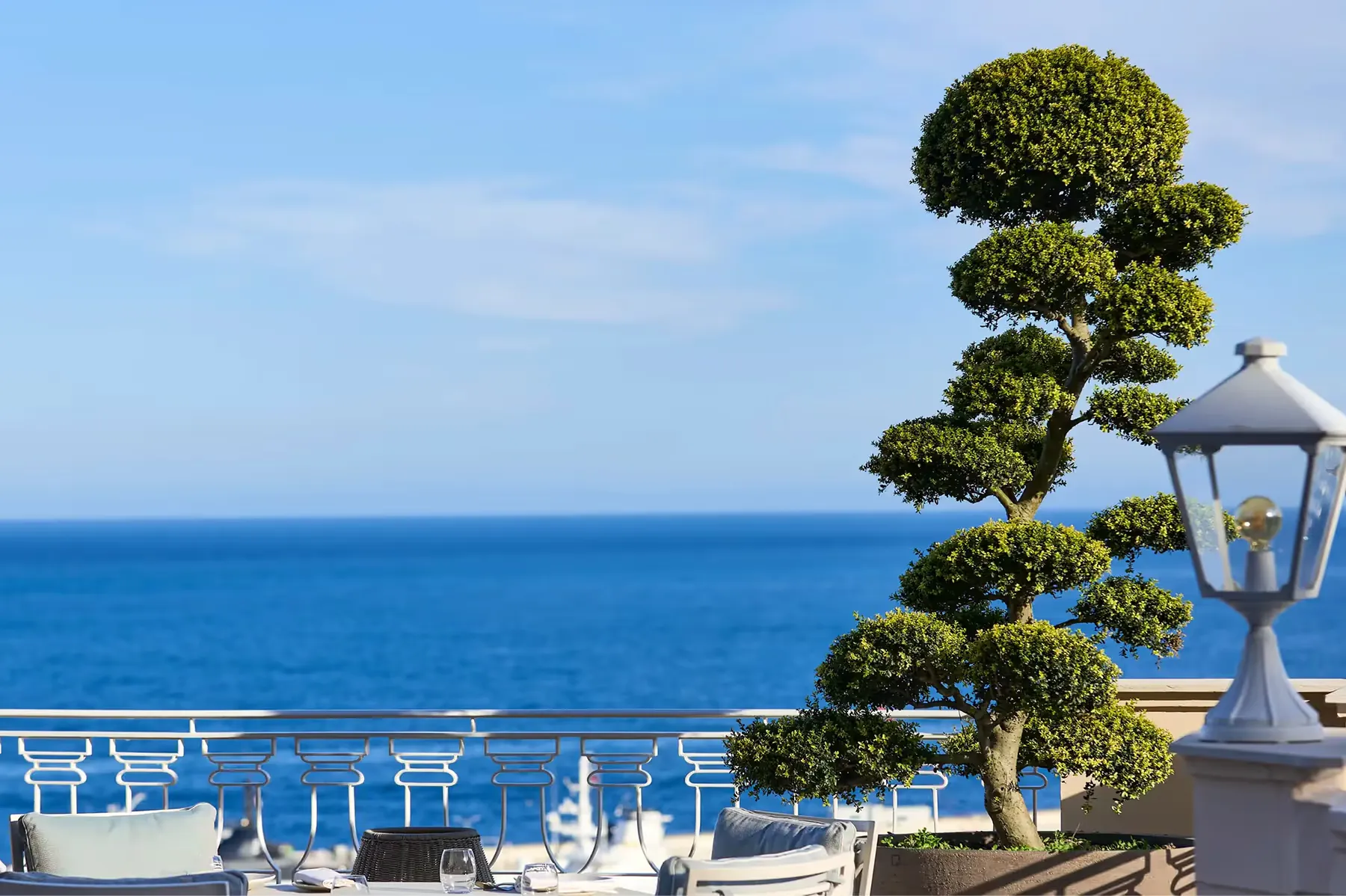 Hôtel Hermitage Monte-Carlo dining 2