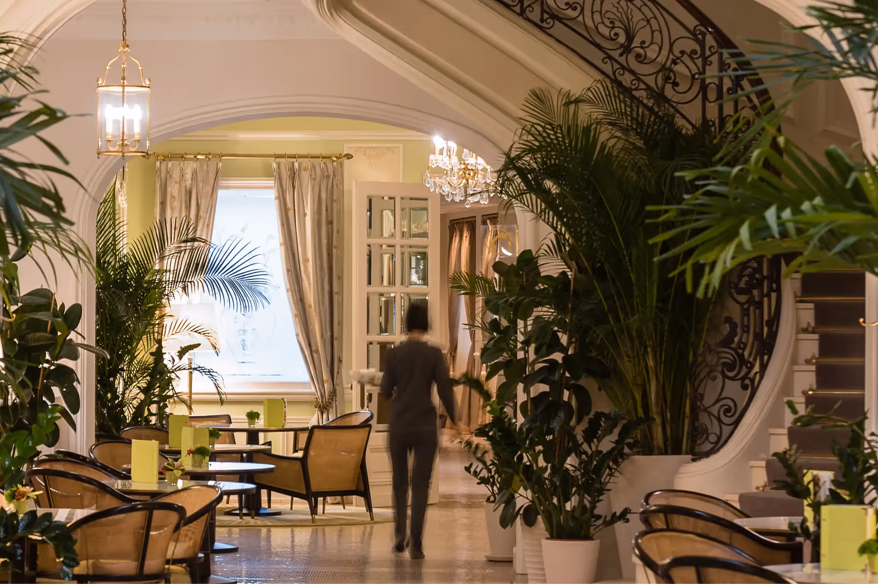 Hôtel Hermitage Monte-Carlo dining 3