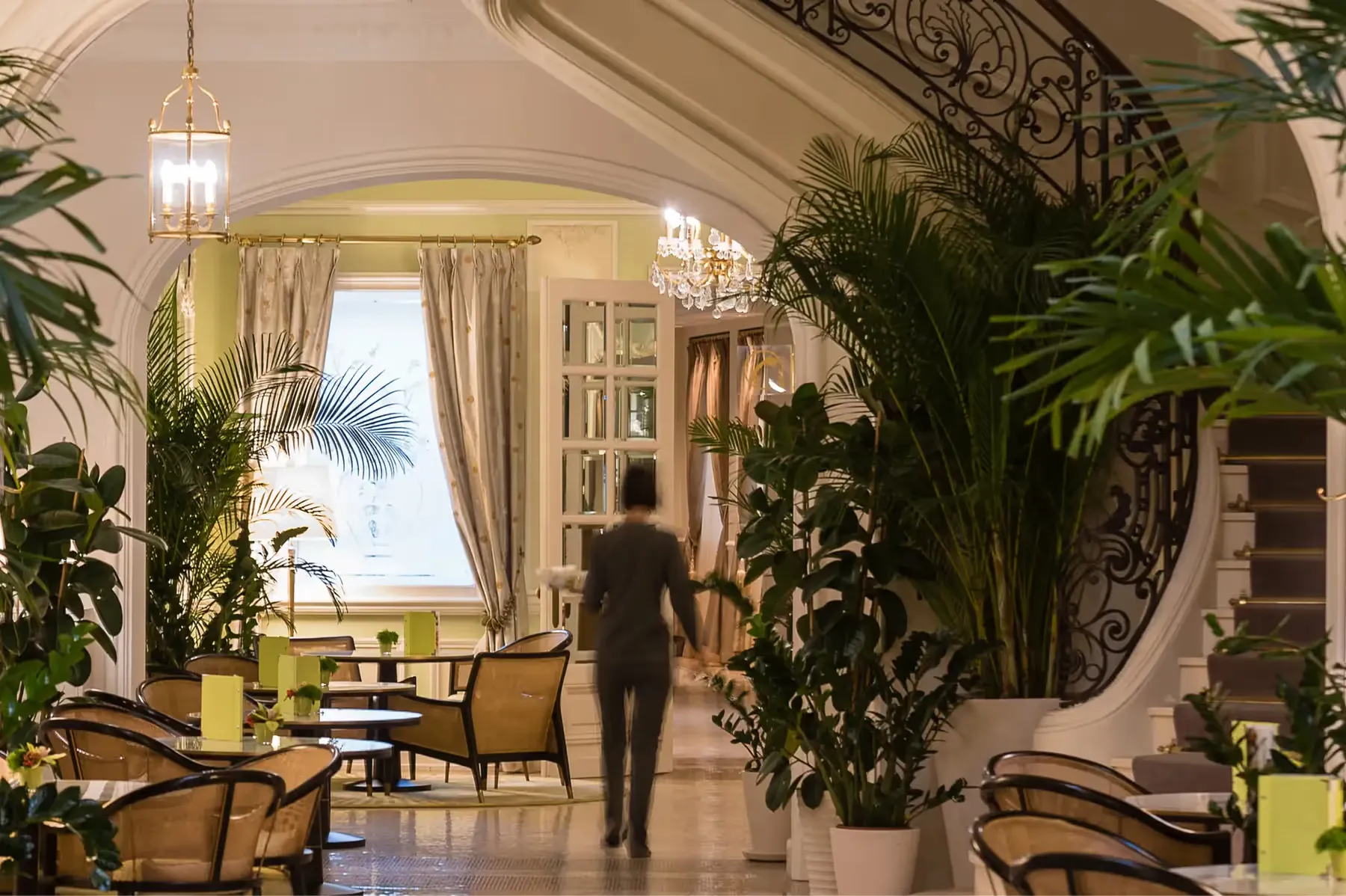 Hôtel Hermitage Monte-Carlo dining 3