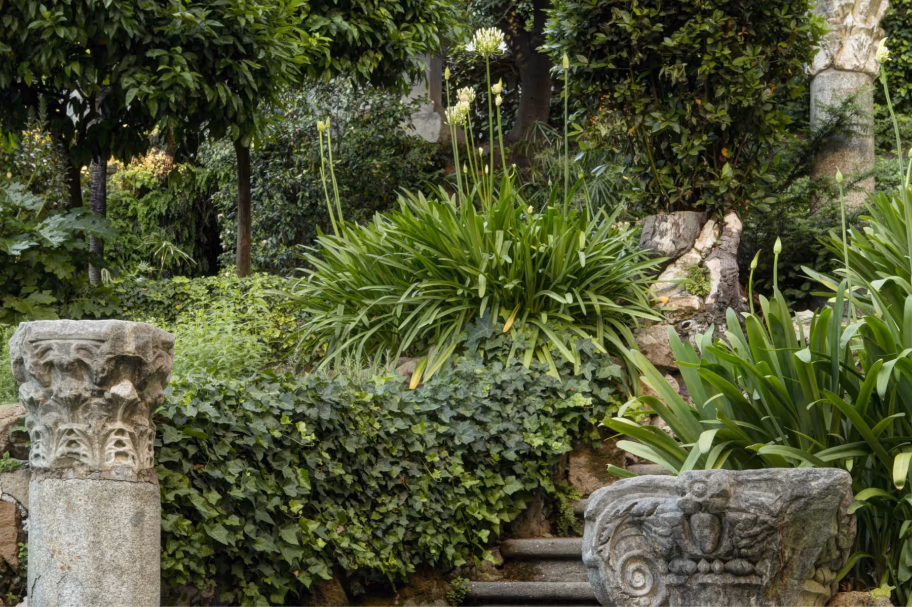 Hotel de Russie property 5