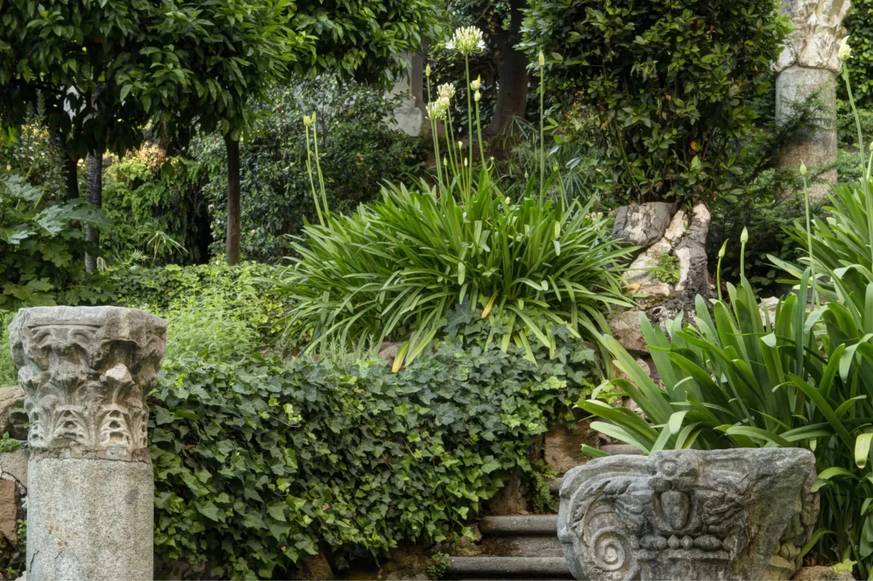 Hotel de Russie property 5