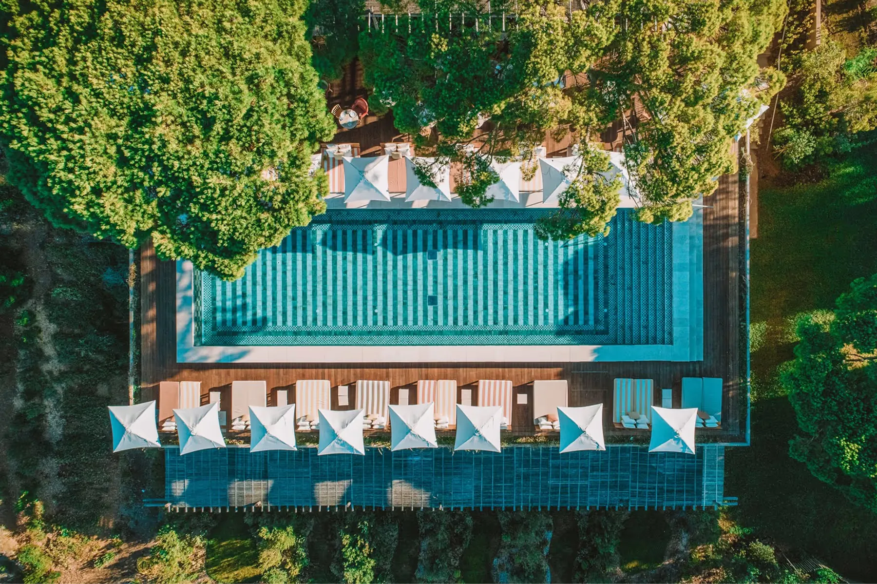 Lily of the Valley property 8