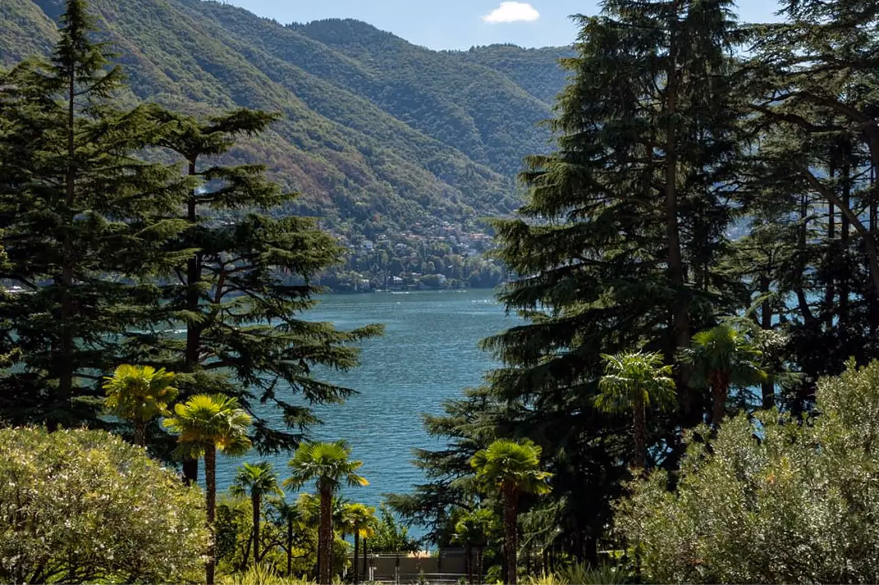 Passalacqua property 3
