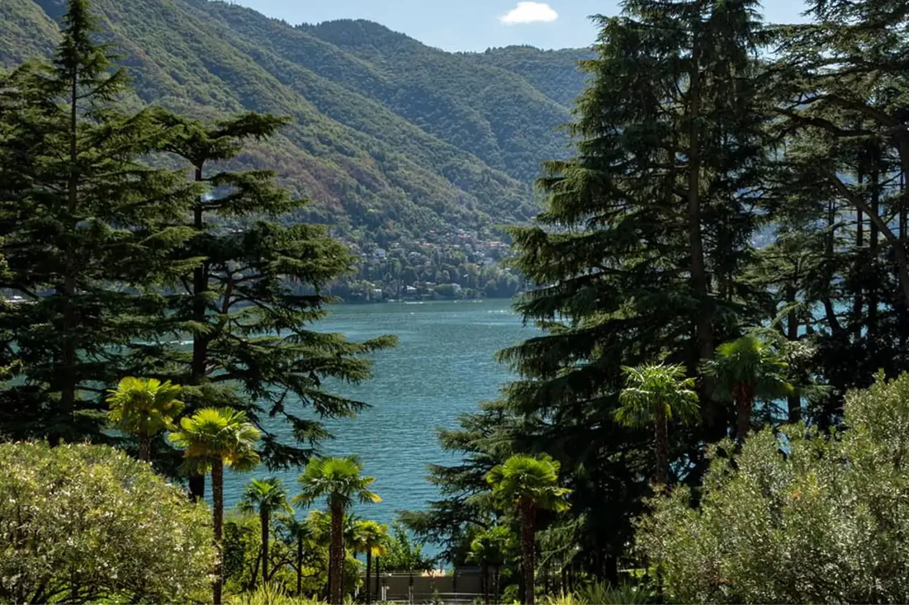 Passalacqua property 3