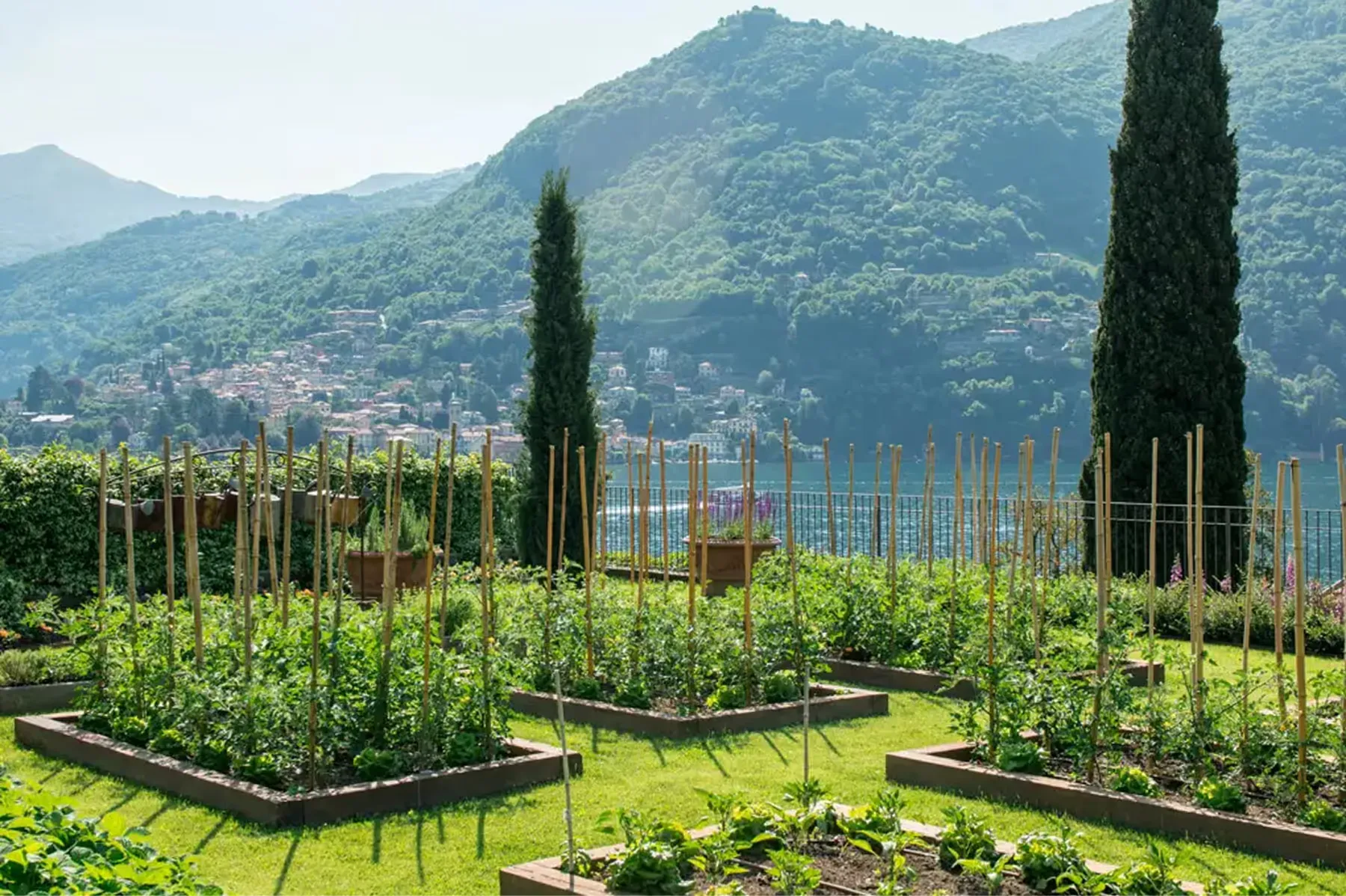 Passalacqua property 8