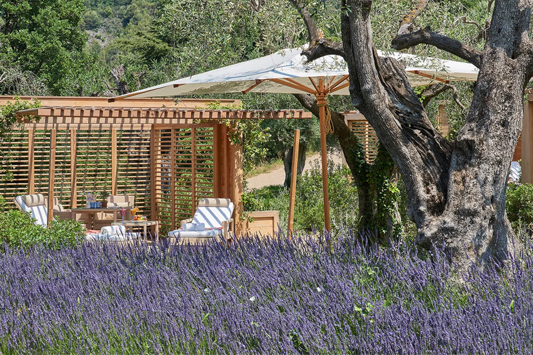 Château Saint Martin & Spa activities 7