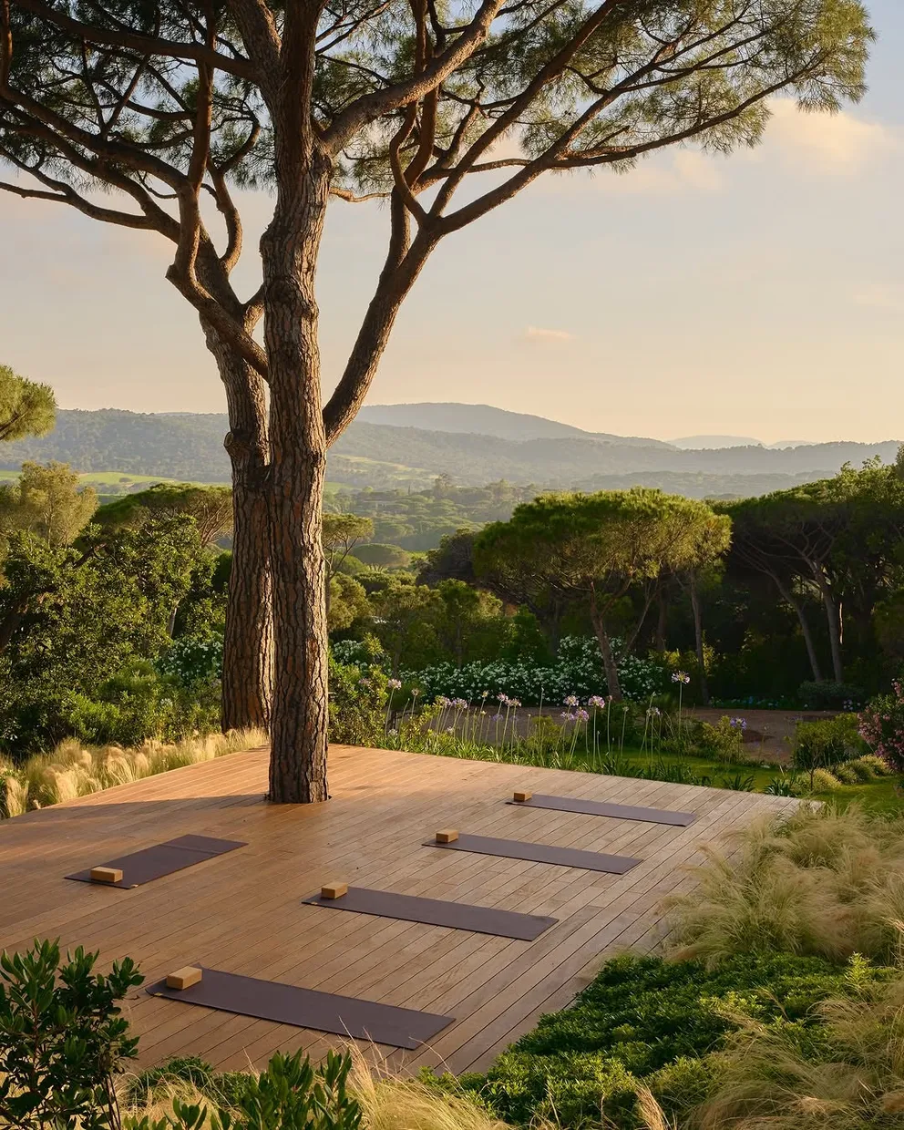 The yoga deck in the pines above the valley at Château de la Messardière