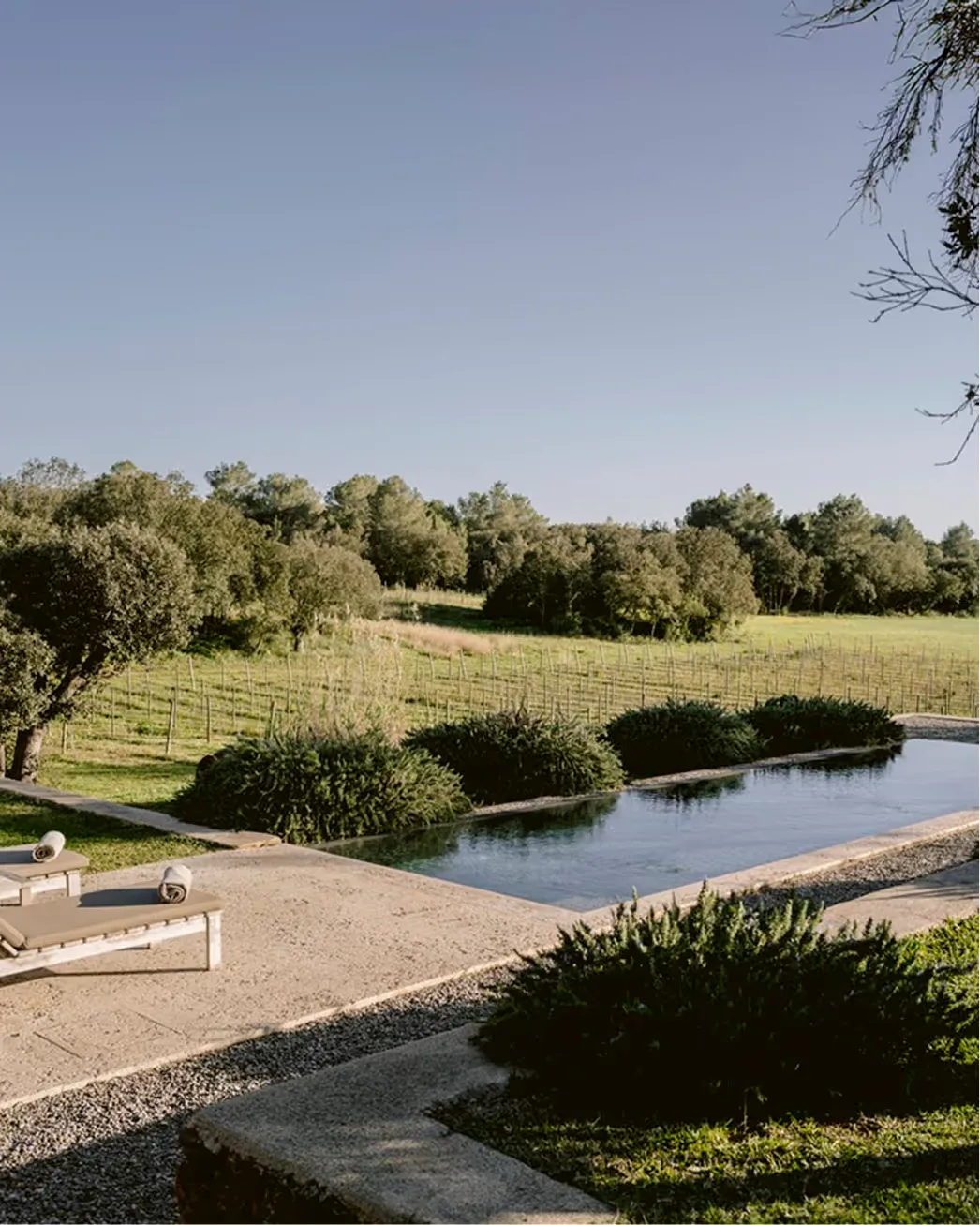 Manicured estate grounds with rectangular water feature framed by natural olive groves and stone walls