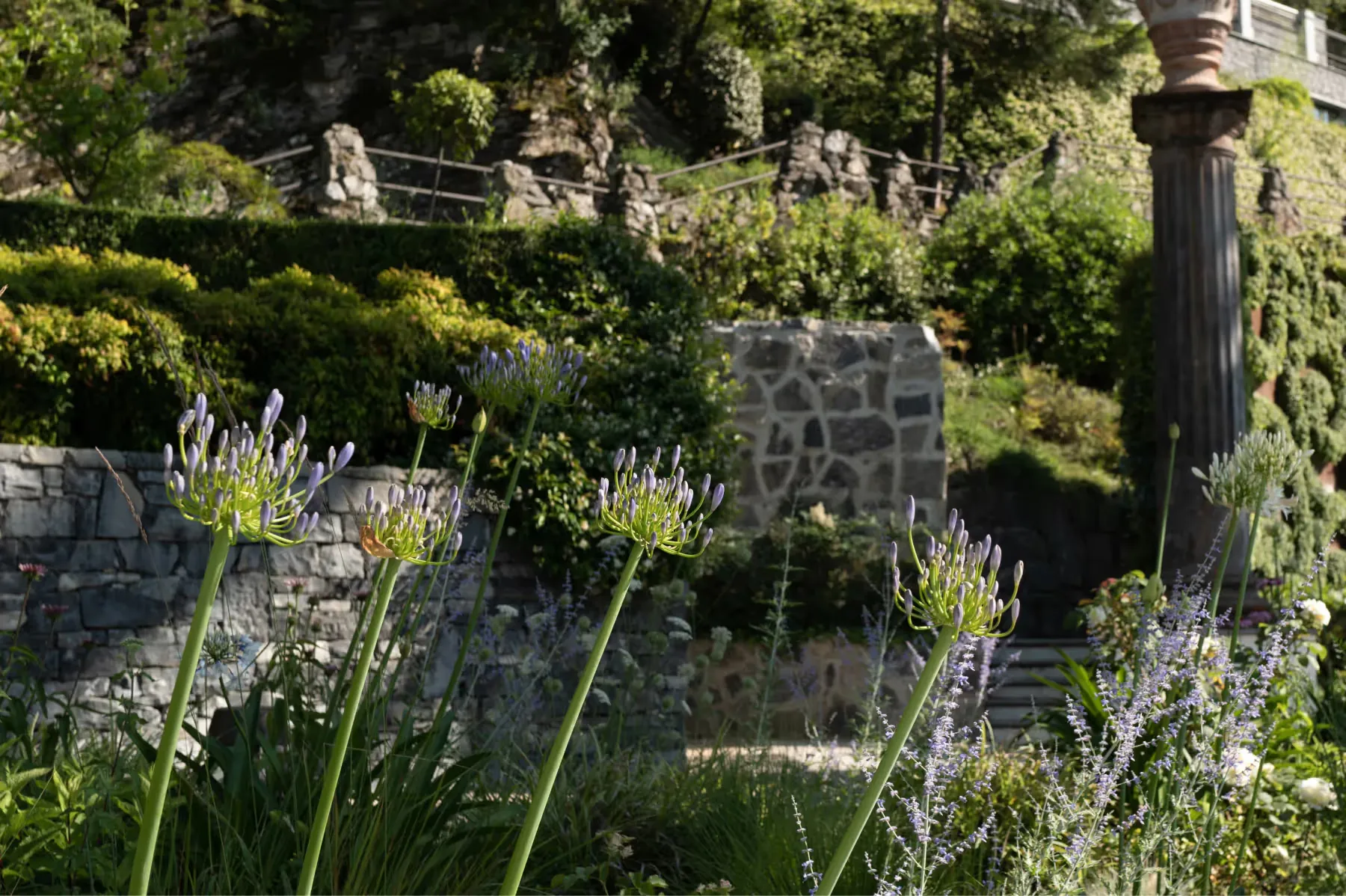 Garden pathway with lavender plantings, stone walls, and trees framing villa grounds