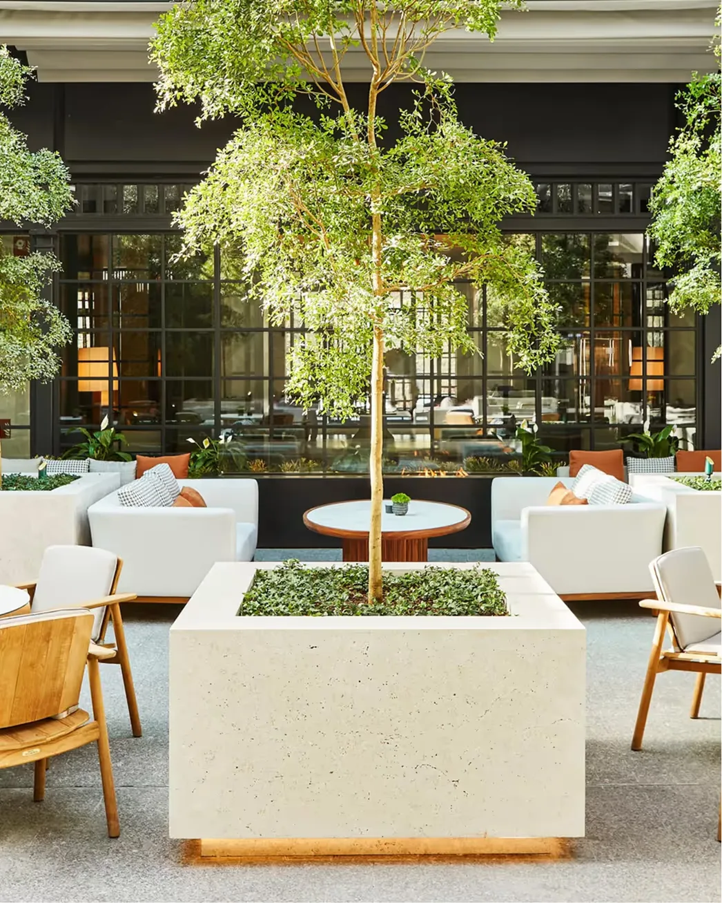 The hotel’s courtyard with a central tree, white marble planters, and hanging greenery