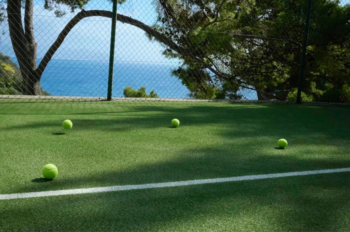 A manicured lawn with tennis court markings and sea view framed by trees